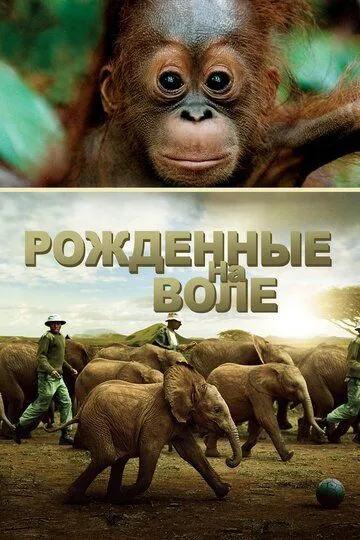 Рожденные на воле / Born to Be Wild (2011)