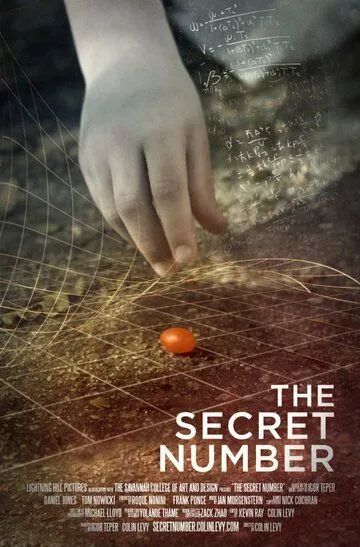 Тайное число / The Secret Number (2012)