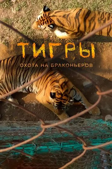 Тигры: Охота на браконьеров / Tigers: Hunting the Traffickers (2020)