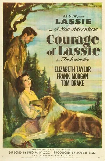 Храбрость Лэсси / Courage of Lassie (1946)