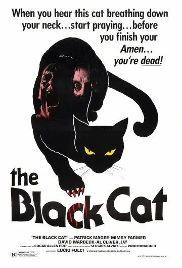 Черный кот / Black Cat (1981)