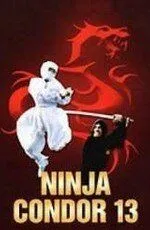 Ниндзя-стервятник / Ninjas, Condors 13 (1987)