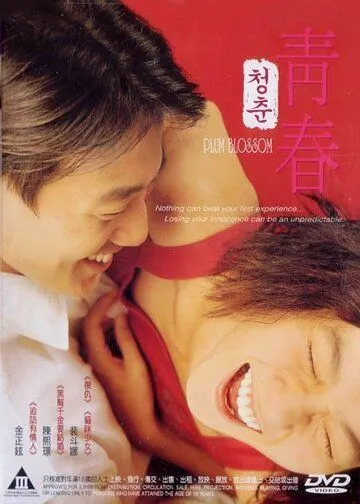 Сливовый цвет / Cheongchun (2000)