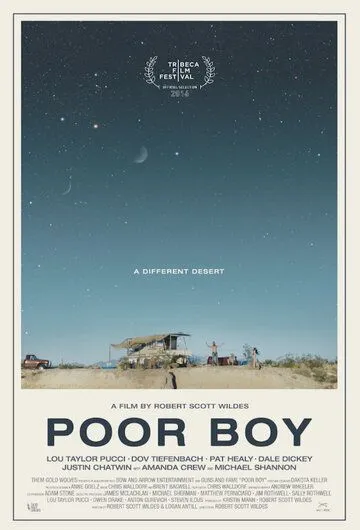 Бедный мальчик / Poor Boy (2016)