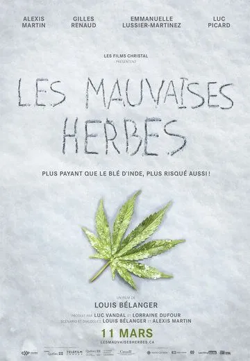 Плохие семена / Les mauvaises herbes (2016)