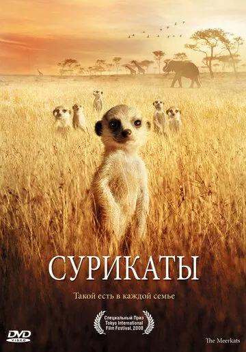 Сурикаты / The Meerkats (2007)