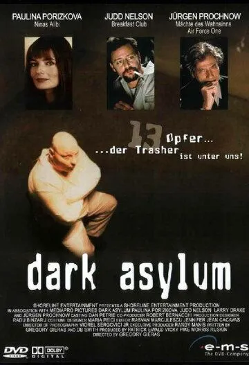 Лабиринты тьмы / Dark Asylum (2001)