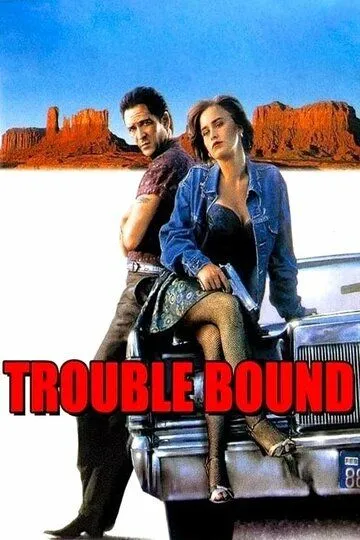 Впереди одни неприятности / Trouble Bound (1992)