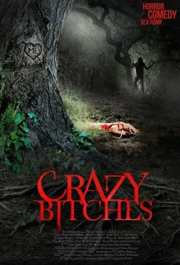 Сумасшедшие суки / Crazy Bitches (2014)