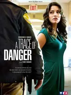 Следы опасности / A Trace of Danger (2010)