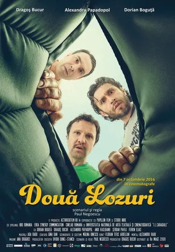 Два лотерейных билета / Doua lozuri (2016)