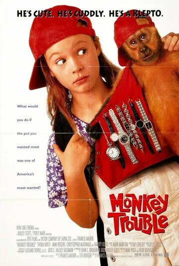 Неприятности с обезьянкой / Monkey Trouble (1994)