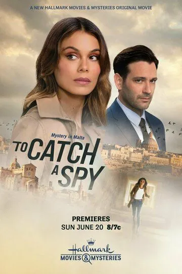 Поймать шпиона / To Catch a Spy (2021)