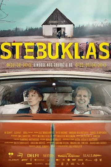 Чудо / Stebuklas (2017)