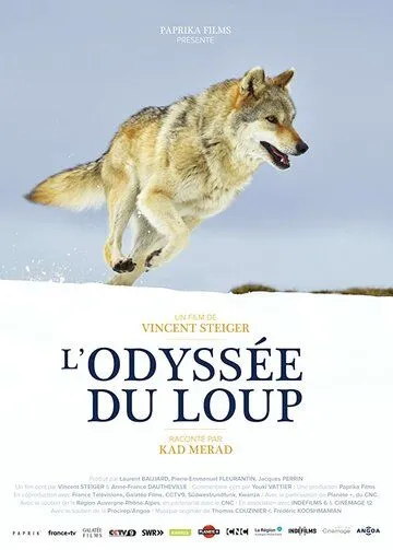 Путешествие волка / L'Odyssée du Loup (2019)