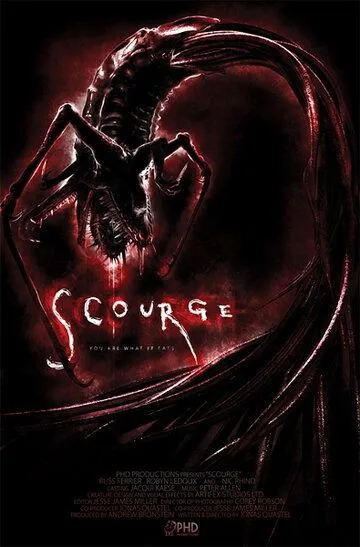 Кара / Scourge (2008)