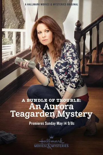 Тайны Авроры Тигарден: Проблемный свёрток / A Bundle of Trouble: An Aurora Teagarden Mystery (2017)