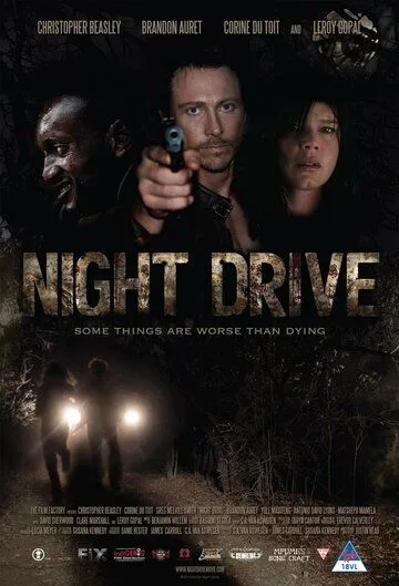 Ночной драйв / Night Drive (2010)