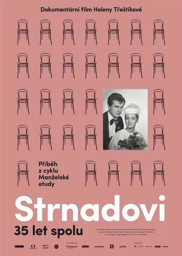 Семейная история / Strnadovi (2017)