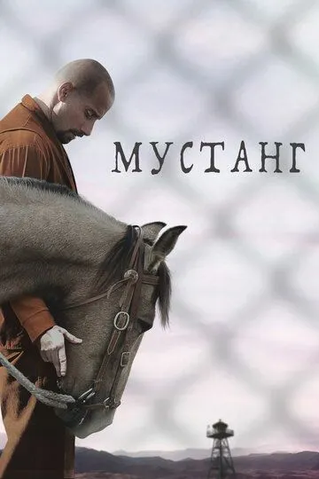 Мустанг / The Mustang (2017)