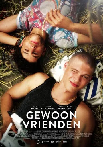 Просто друзья / Gewoon vrienden (2018)