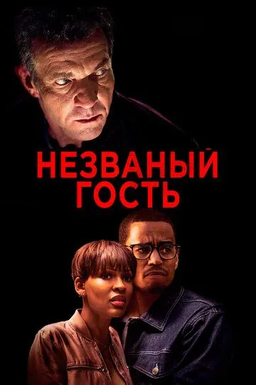 Незваный гость / The Intruder (2019)