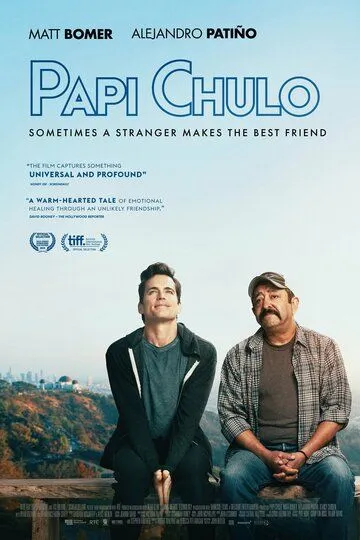 Красавчик / Papi Chulo (2018)