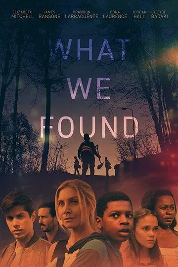 Что мы нашли / What We Found (2020)