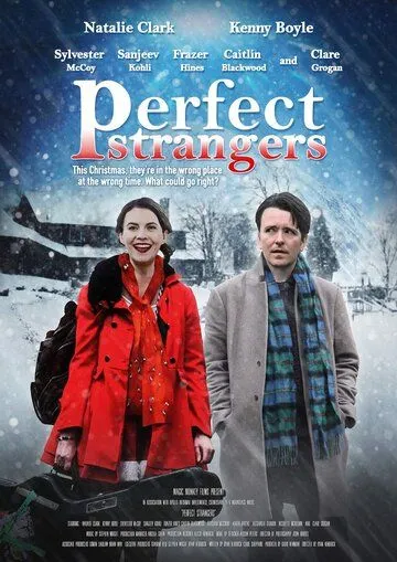 Идеальные незнакомцы / Perfect Strangers (2020)