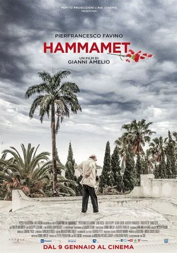 Хаммамет / Hammamet (2020)