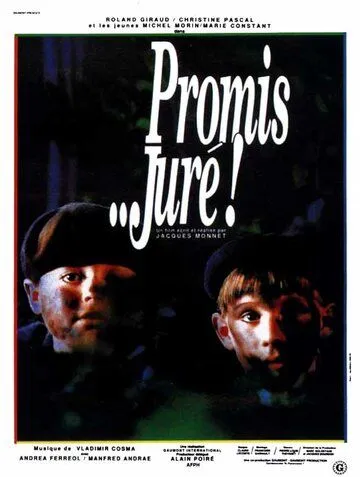 Клянусь… господин судья! / Promis... juré! (1987)