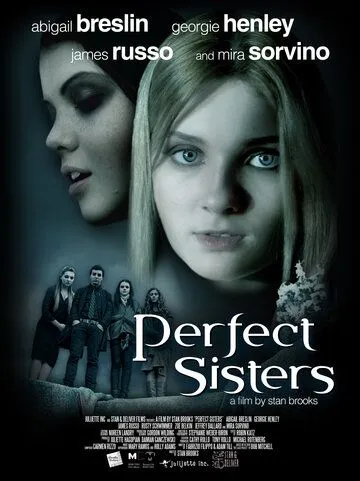 Школьный проект / Perfect Sisters (2013)