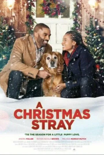 Рождественская дворняжка / A Christmas Stray (2021)