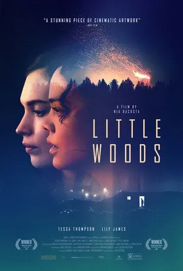 Лесок / Little Woods (2018)