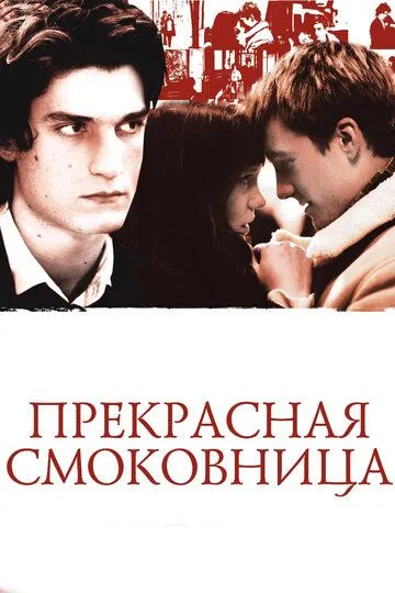 Прекрасная смоковница / La belle personne (2008)