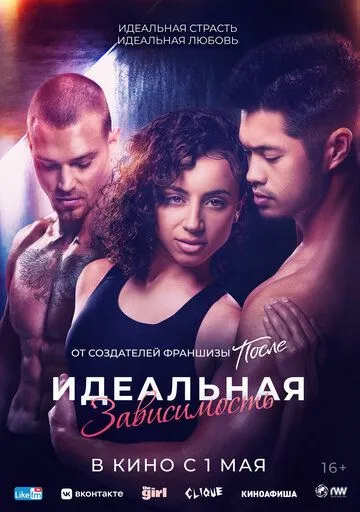 Идеальная зависимость / Perfect Addiction (2023)