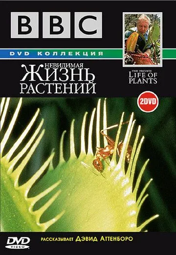 BBC: Невидимая жизнь растений / The Private Life of Plants (1995)