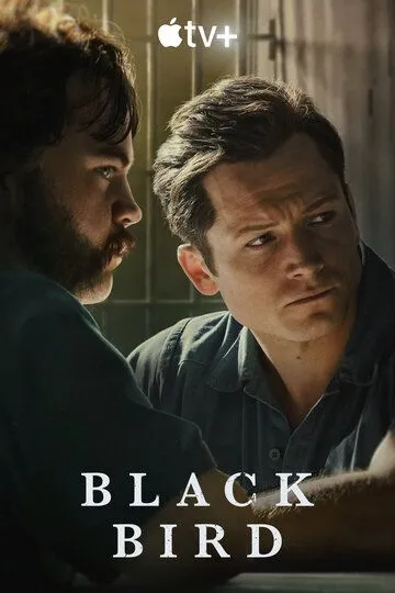 Чёрная птица / Black Bird (2022)