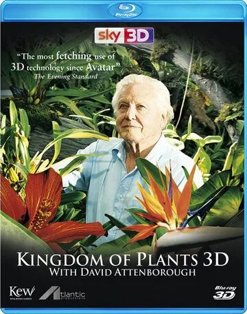 В королевстве растений / Kingdom of Plants 3D (2012)