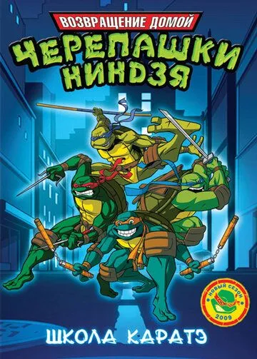 Мутанты черепашки ниндзя. Новые приключения! / Teenage Mutant Ninja Turtles (2003)