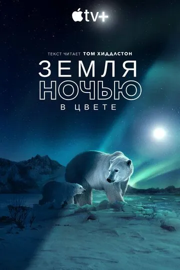 Земля ночью в цвете / Earth at Night in Color (2020)