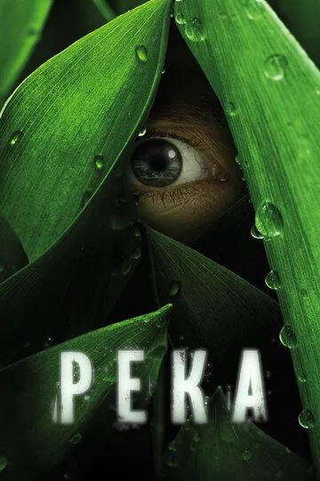 Река / The River (2012)