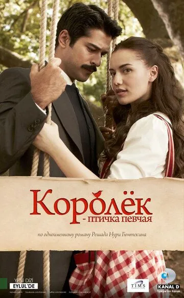 Королёк - птичка певчая / Çalikusu (2013)