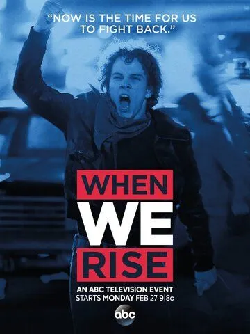 Когда мы восстанем / When We Rise (2017)