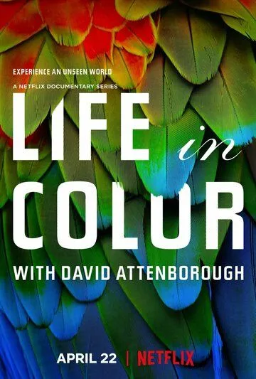 Жизнь в цвете с Дэвидом Аттенборо / Life in Colour (2021)