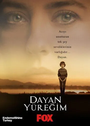 Держись, сердце мое / Dayan Yüregim (2017)