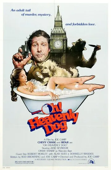 О, божественный пес! / Oh Heavenly Dog (1980)