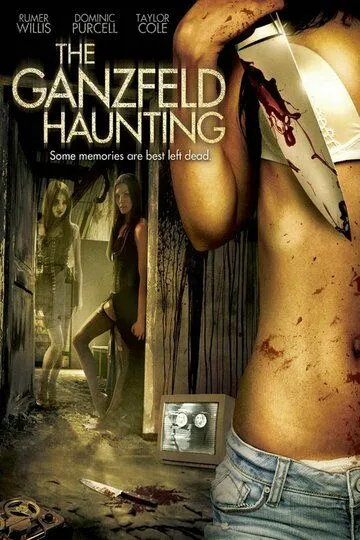 Эксперимент Ганцфельда / The Ganzfeld Haunting (2013)