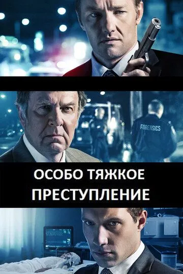 Особо тяжкое преступление / Felony (2013)