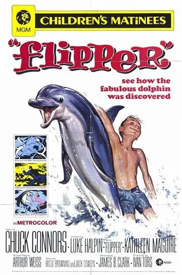 Флиппер / Flipper (1963)